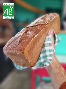 Pain au petit épeautre bio, fabriqué à Saint-Nazaire, avec une croûte dorée et une mie dense et moelleuse.